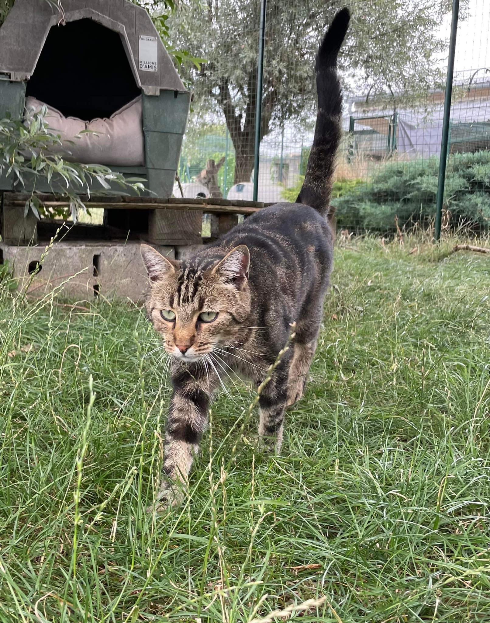 Repose en paix Raolo