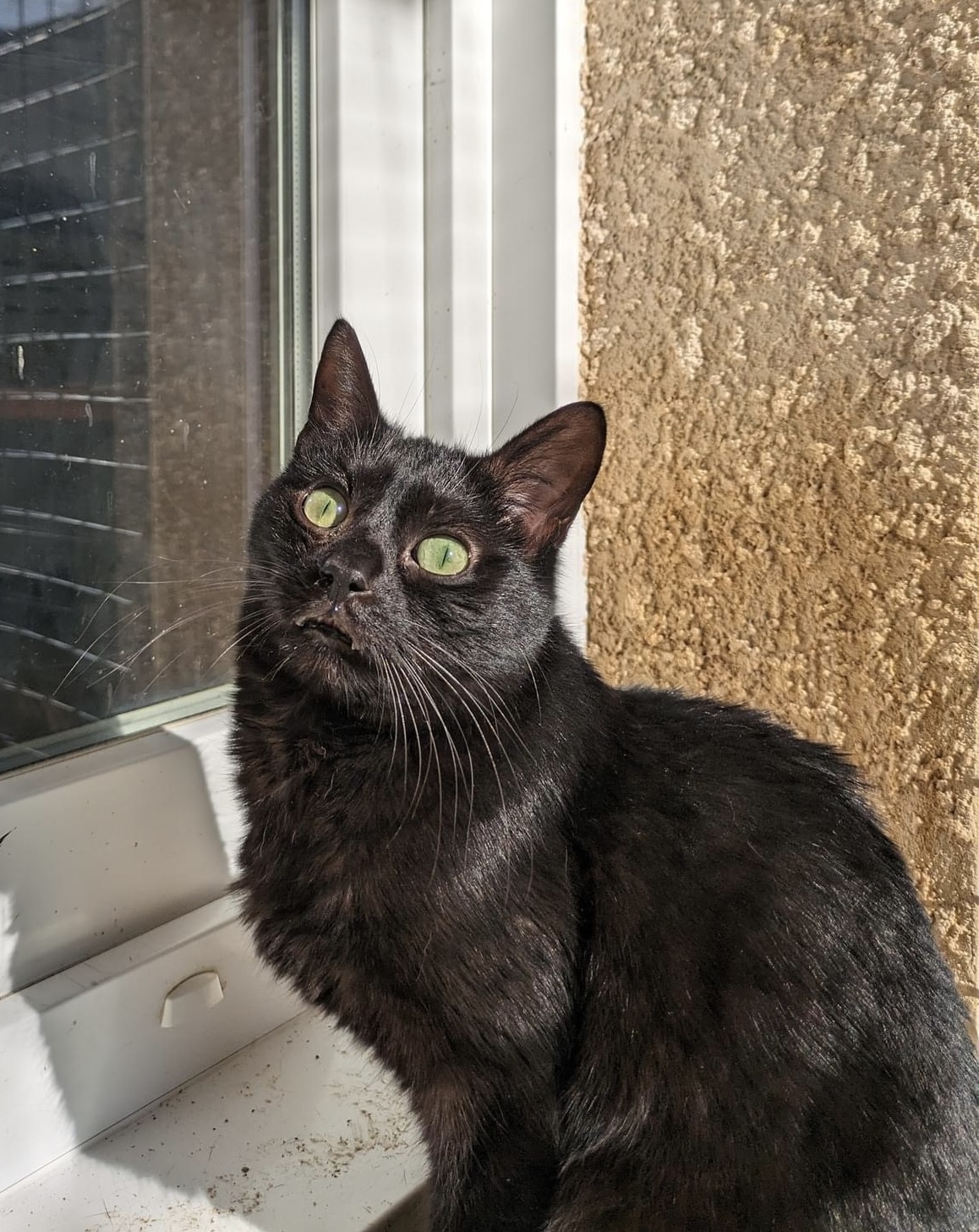 Repose en paix petit Tylio..