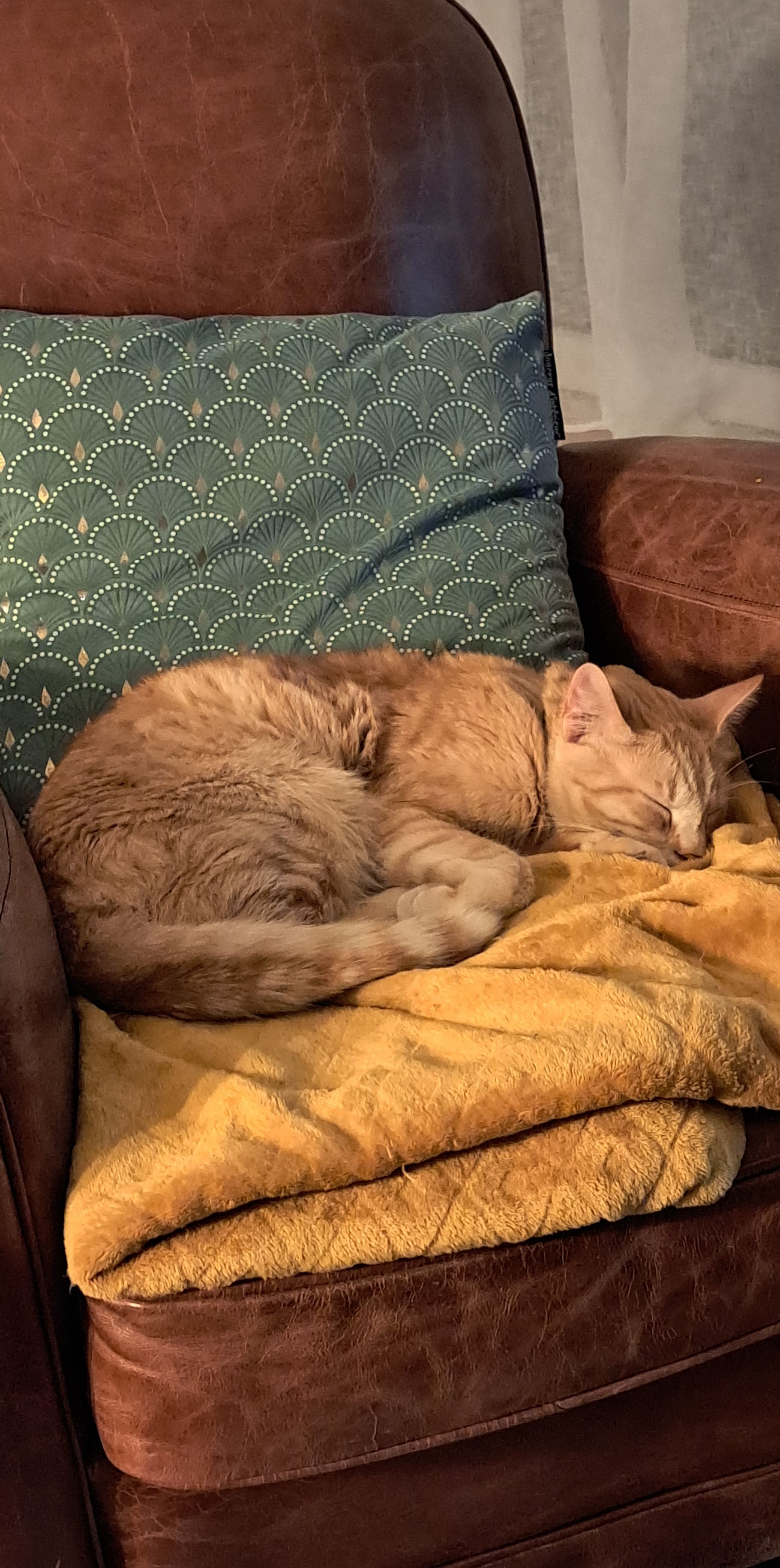 Des nouvelles de Casper