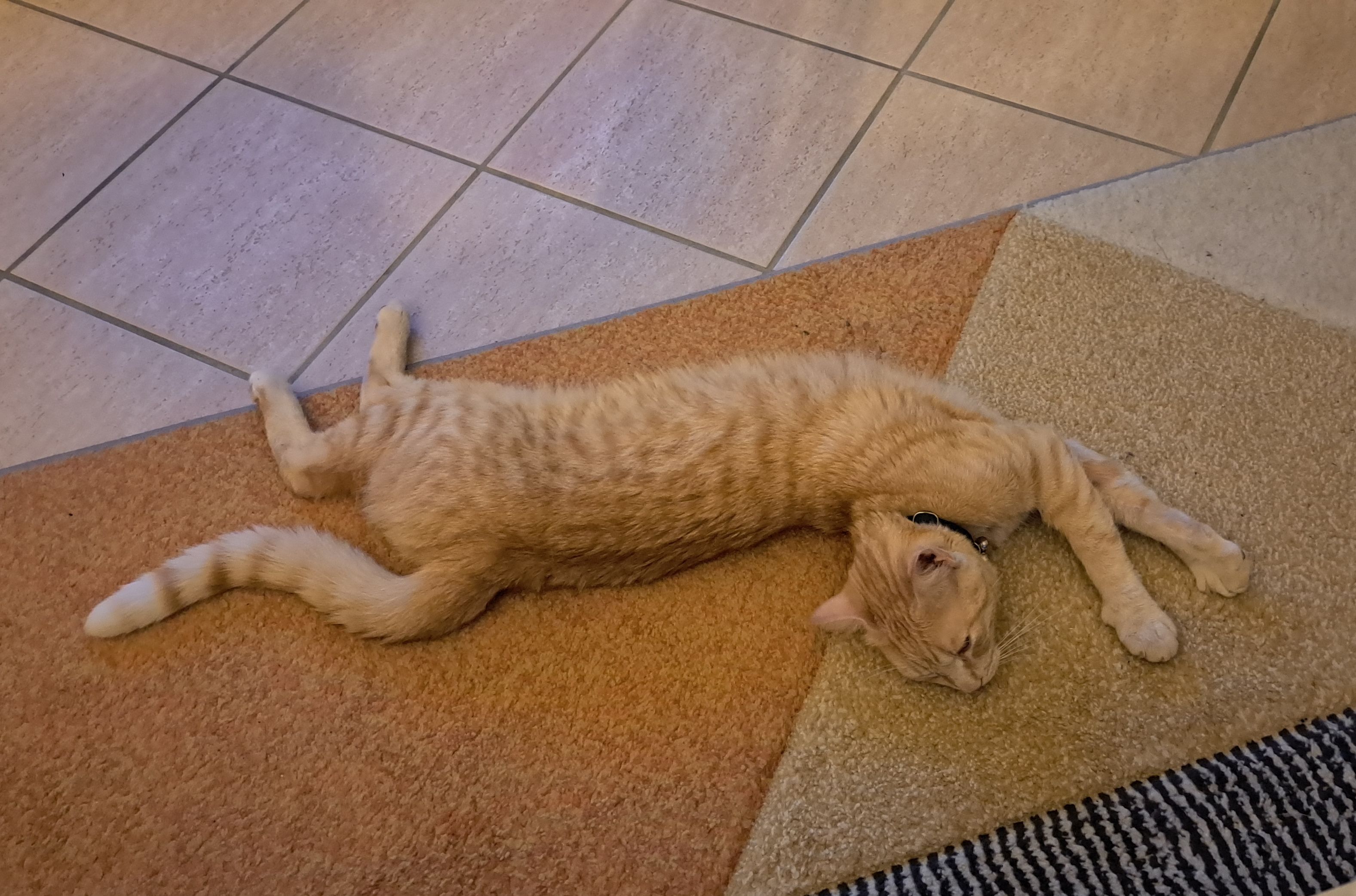 Des nouvelles de Casper