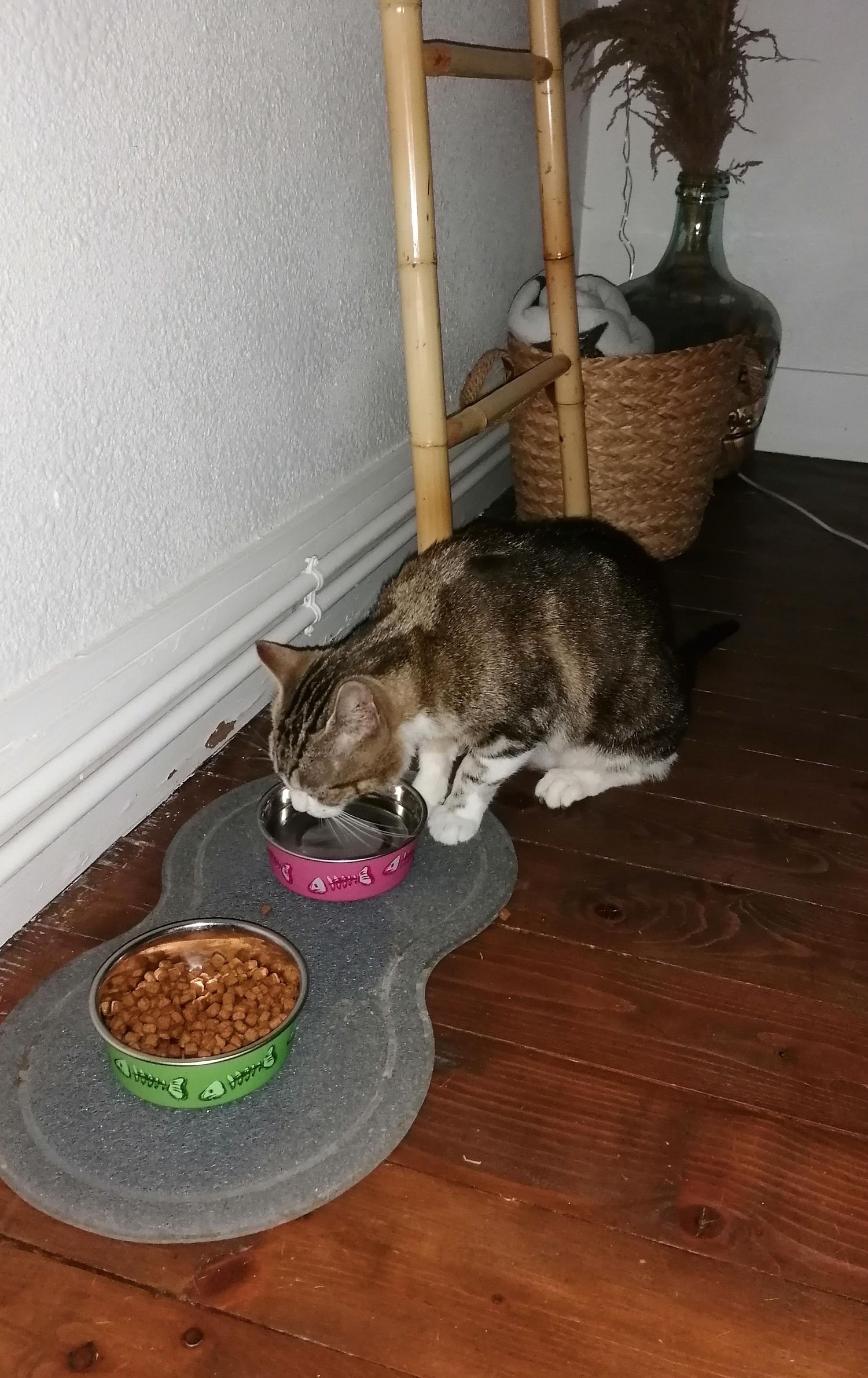 Des nouvelles de Guimauve