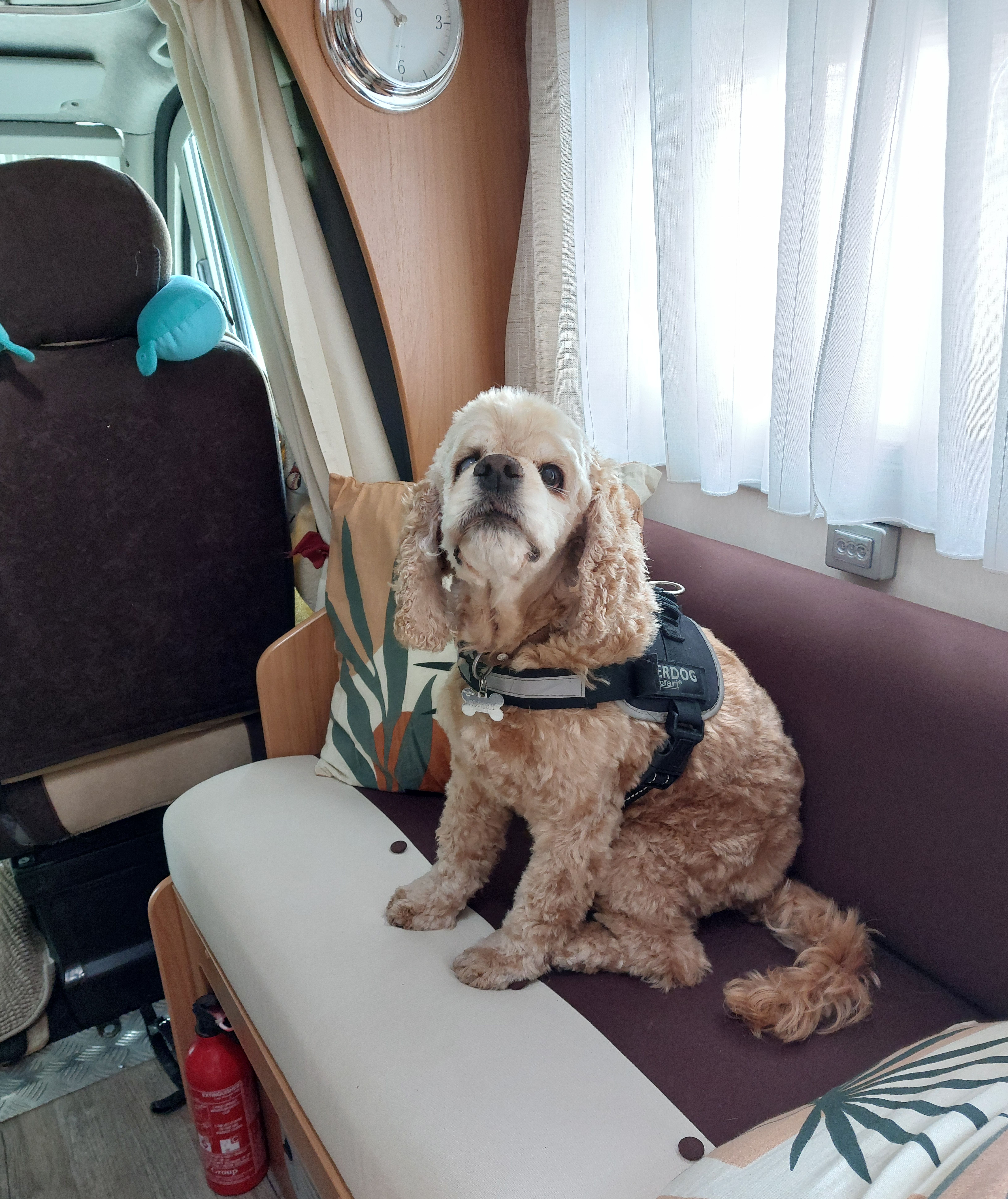 Des nouvelles de Harry