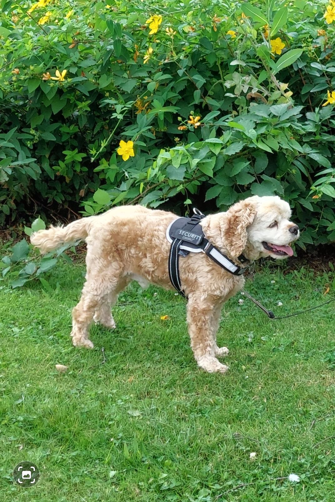 Des nouvelles de Harry