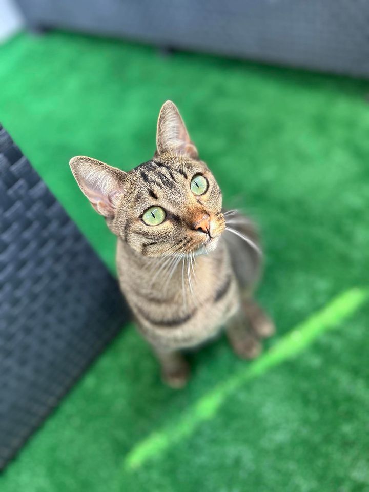 Des nouvelles de Kalinka