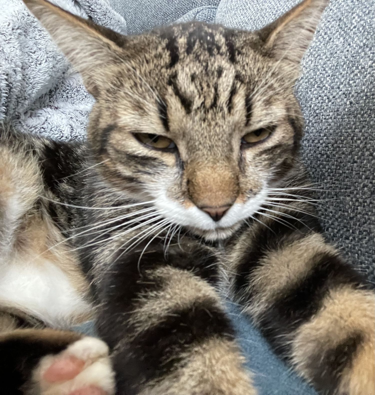 Des nouvelles de Rony