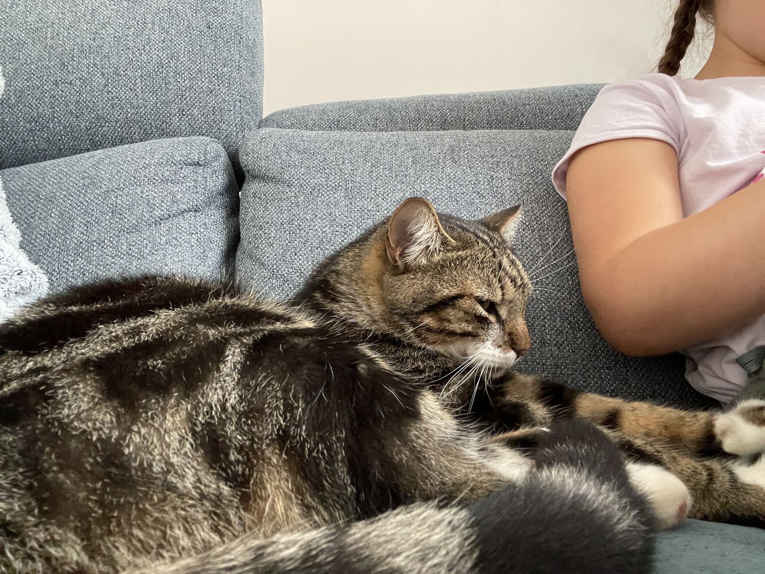 Des nouvelles de Rony