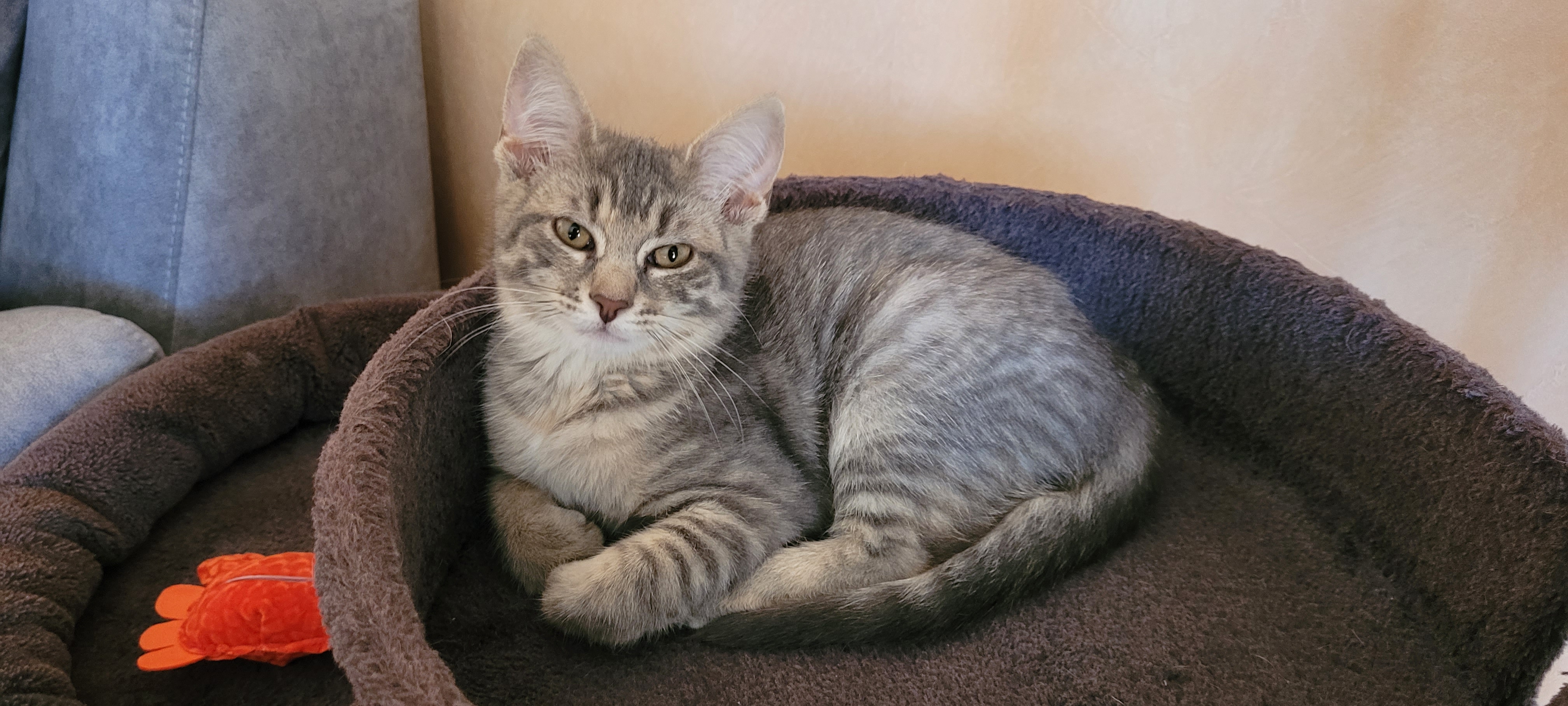 Des nouvelles de la petite Vareka