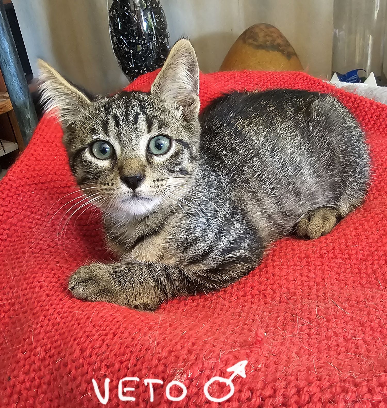 Vana , Vida, Veto et Valmont