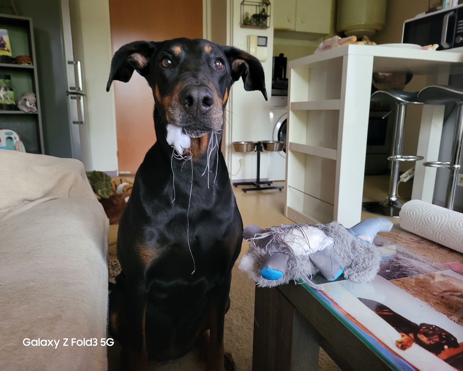 Des nouvelles d'Eden