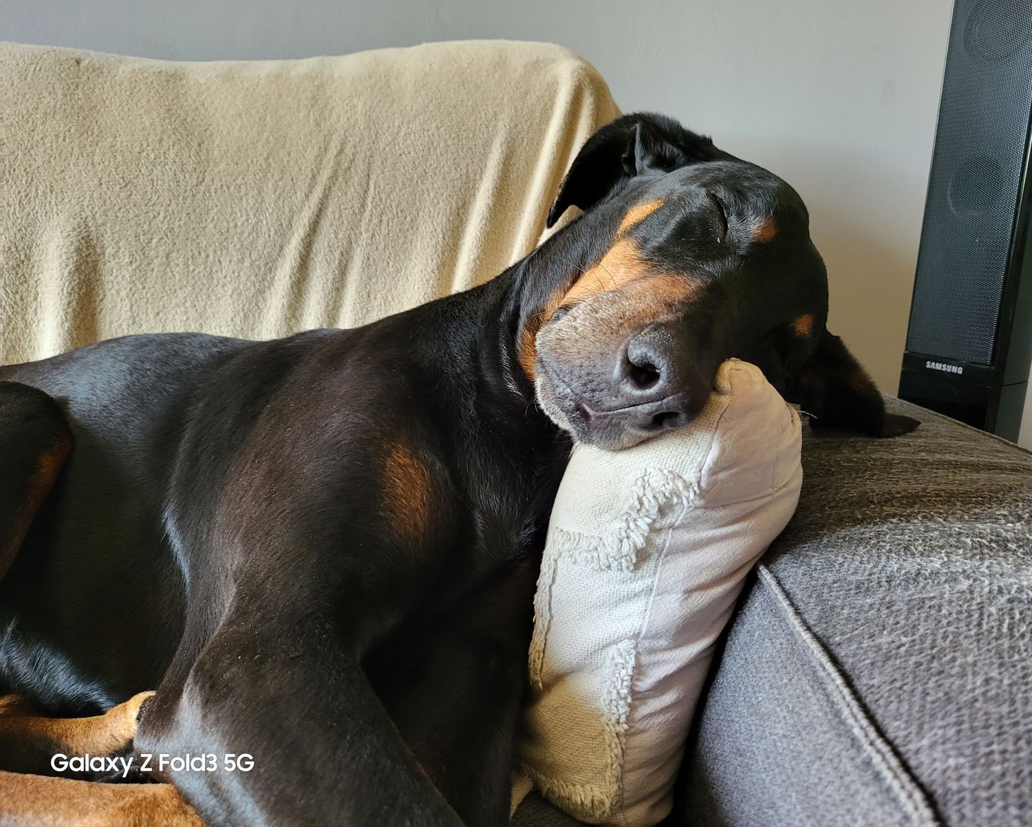 Des nouvelles d'Eden