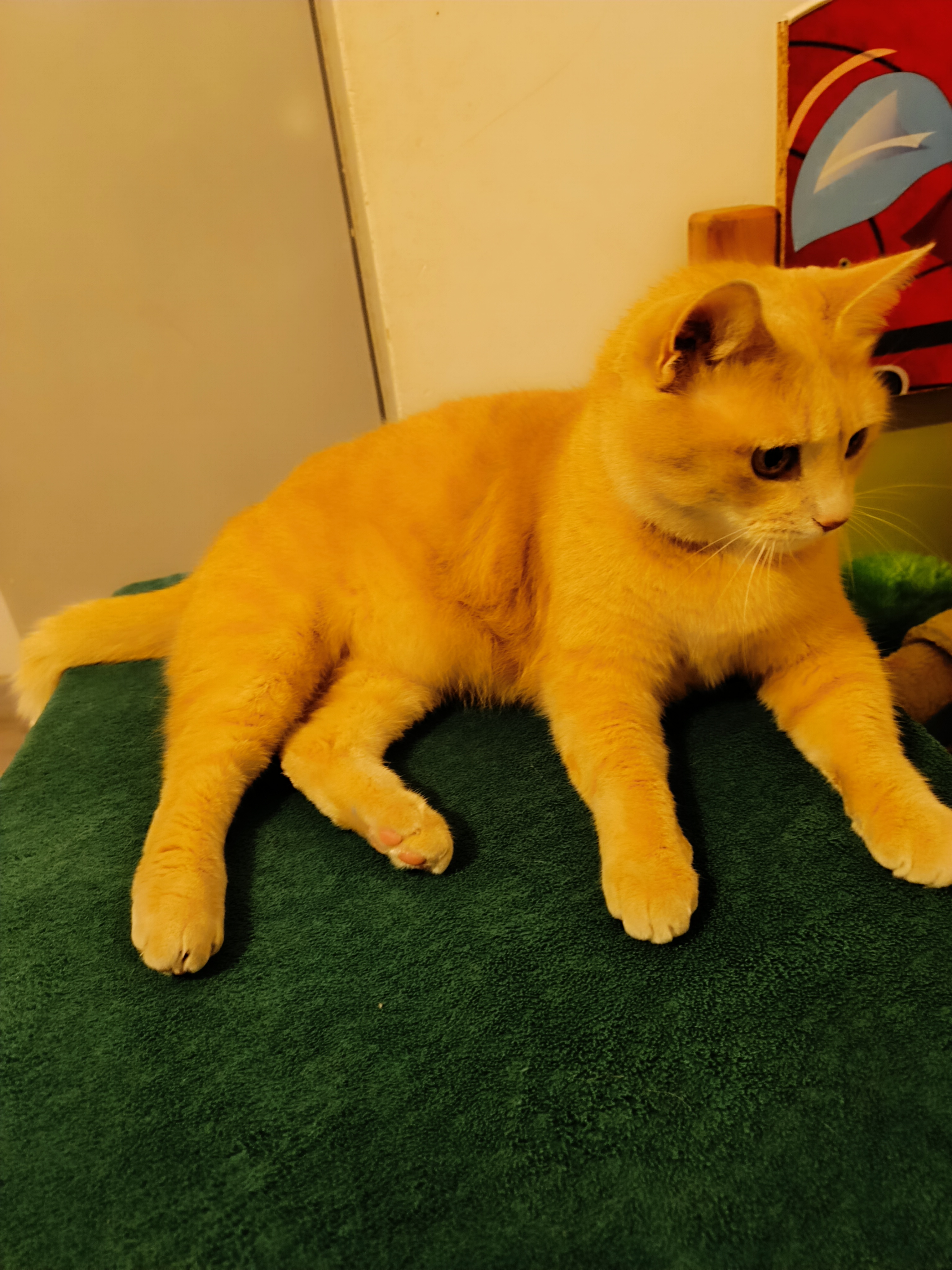 Passy se porte bien.