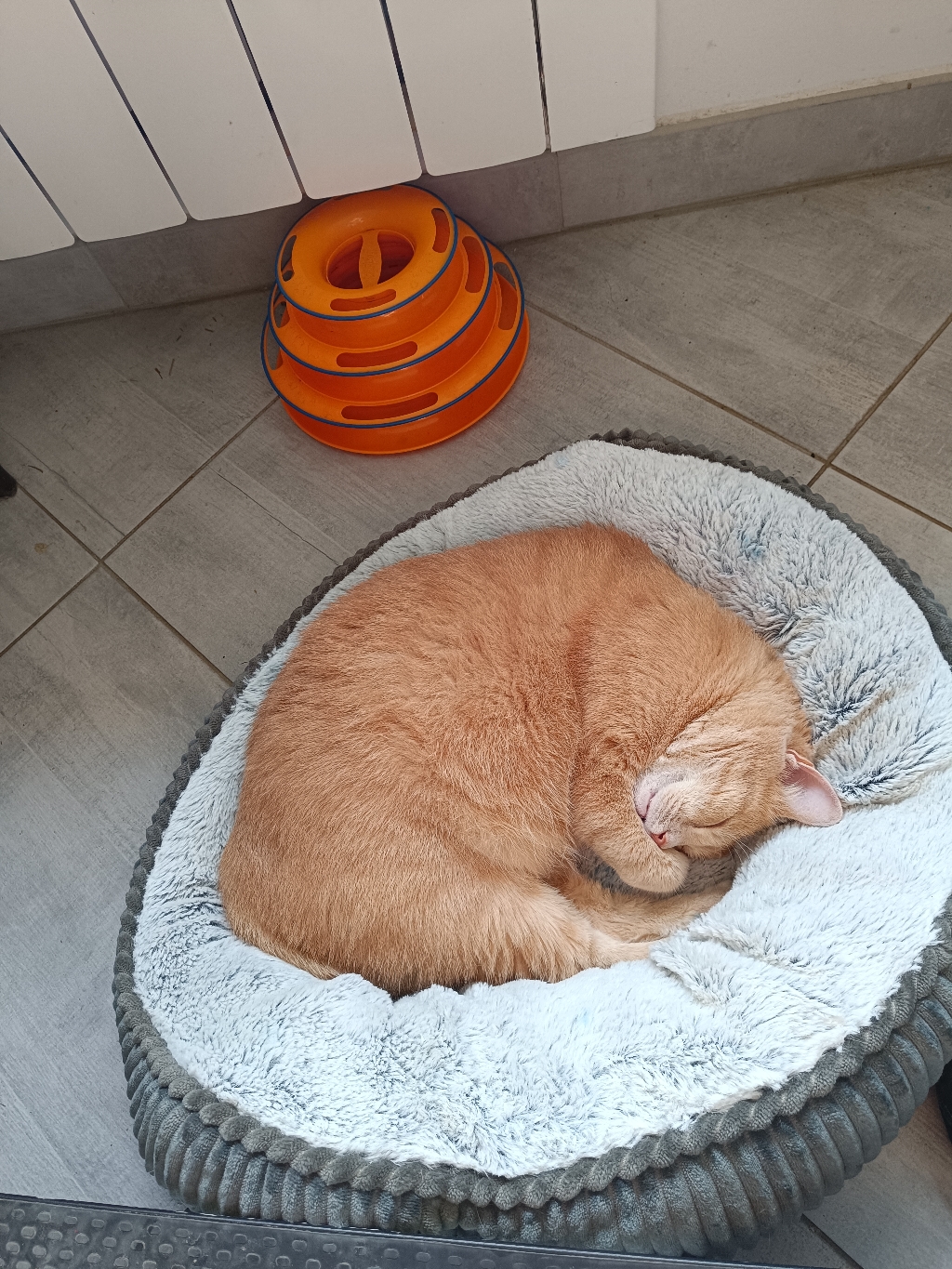 Passy se porte bien.