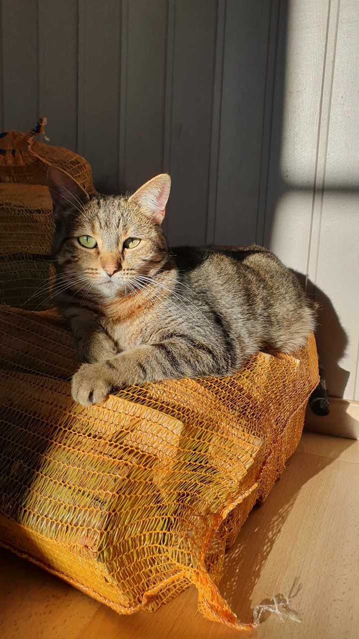 Des nouvelles de Olympe er Uliss