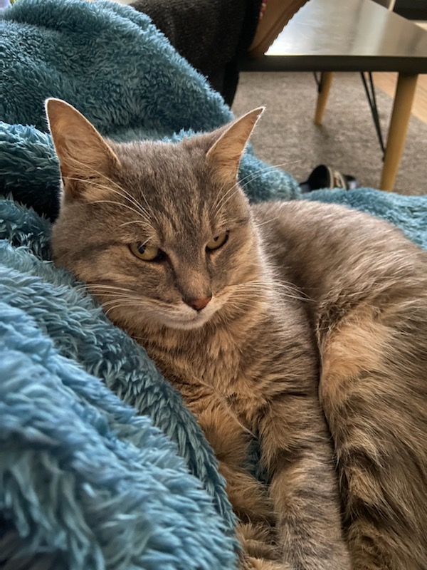 Des nouvelles de Rasta