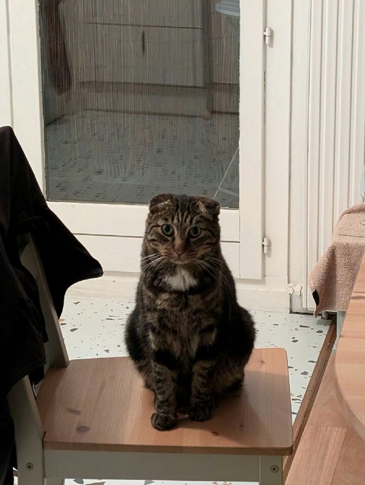 Des nouvelles de Roland