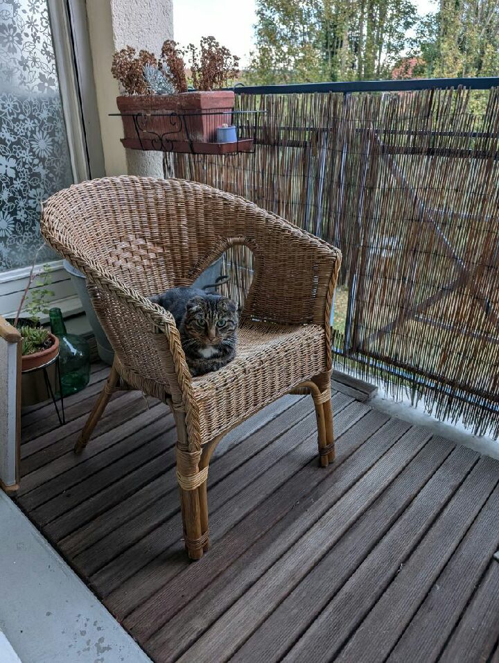 Des nouvelles de Roland