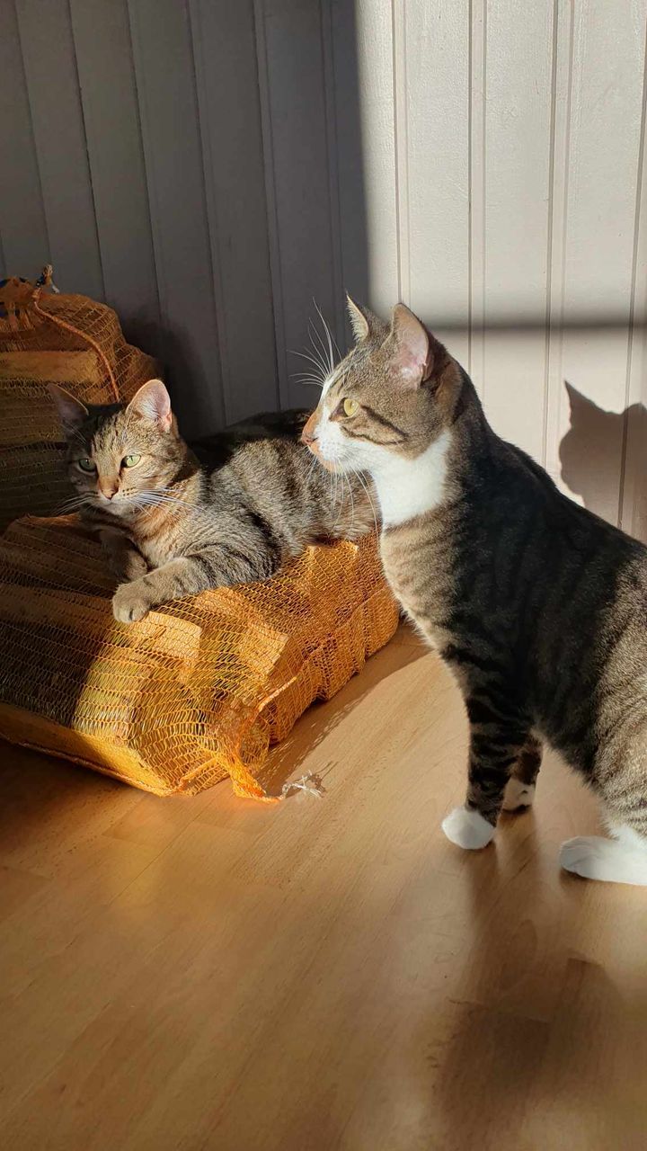 Des nouvelles de Olympe er Uliss