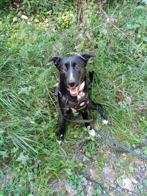 Des nouvelles d'Ullie