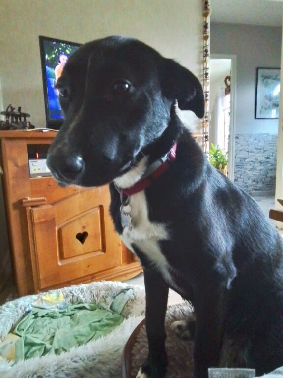 Des nouvelles d'Ullie