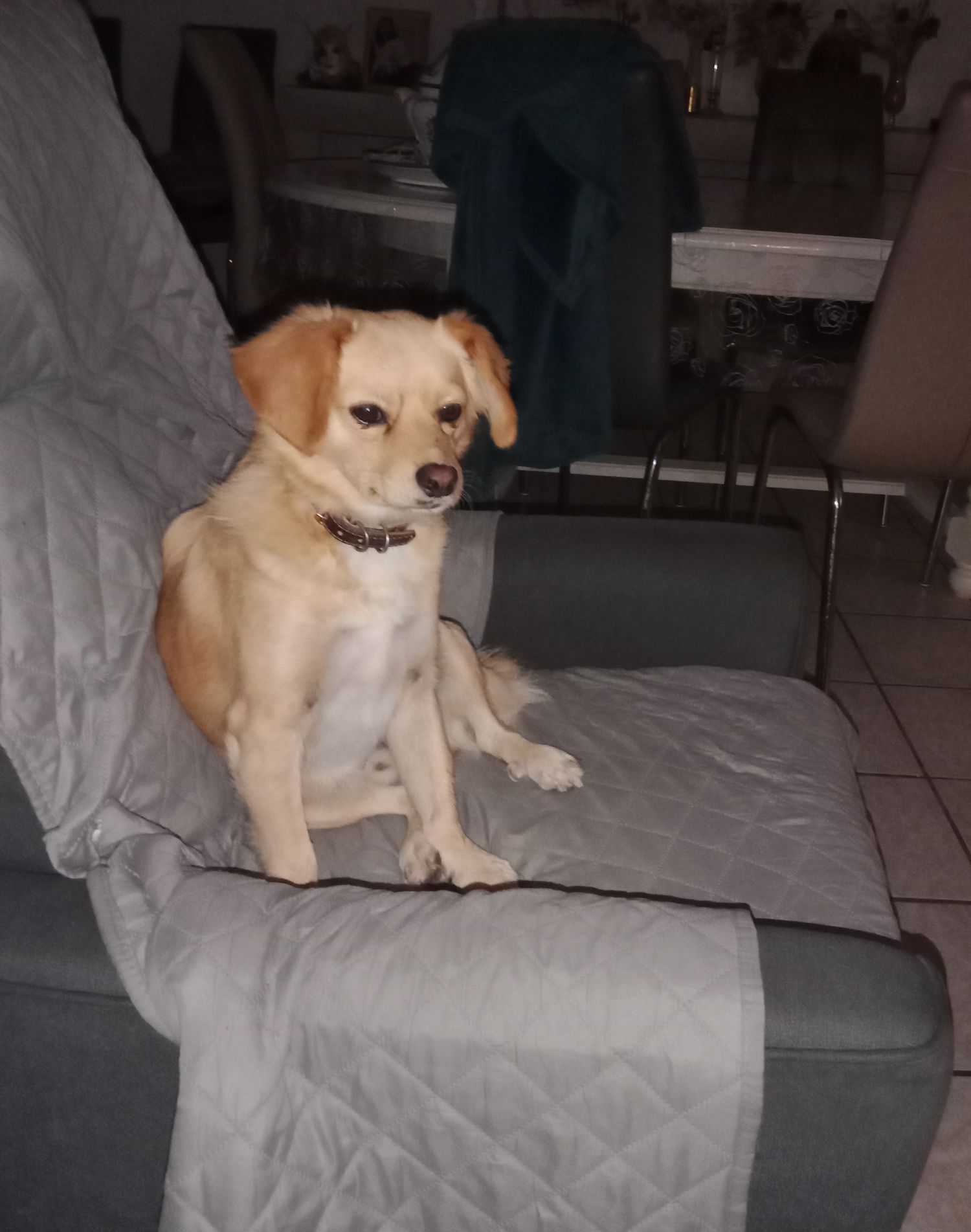 Des nouvelles d'Ulysse (ex Lord)