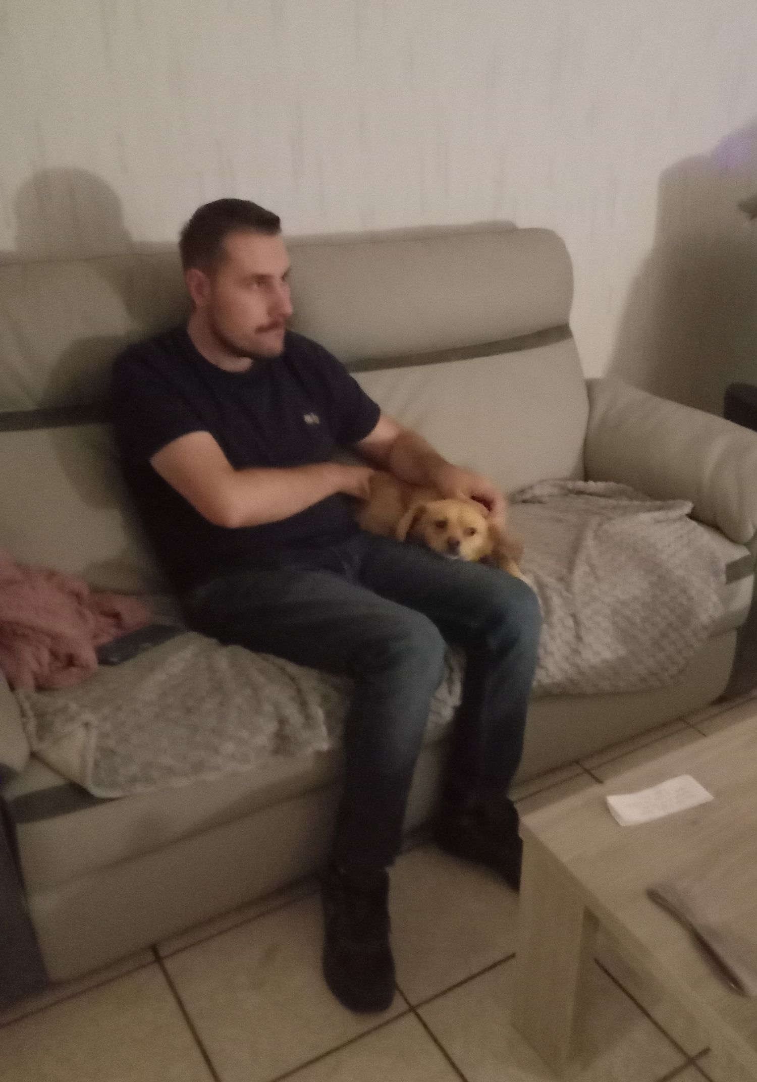 Des nouvelles d'Ulysse (ex Lord)