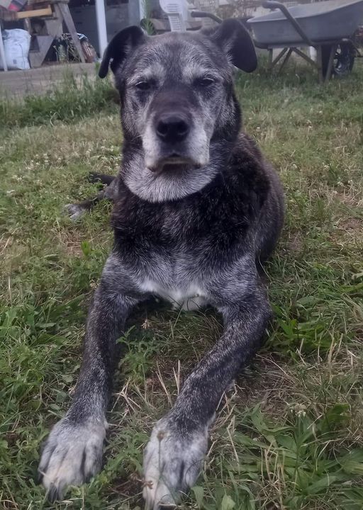 Des nouvelles de Youki