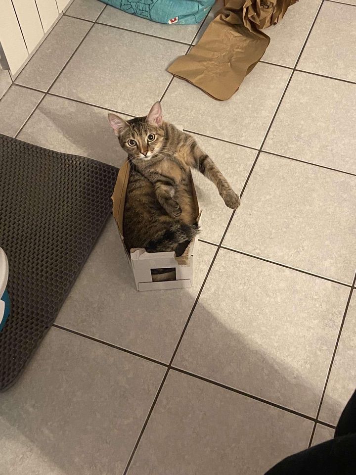 Des nouvelles de Uma