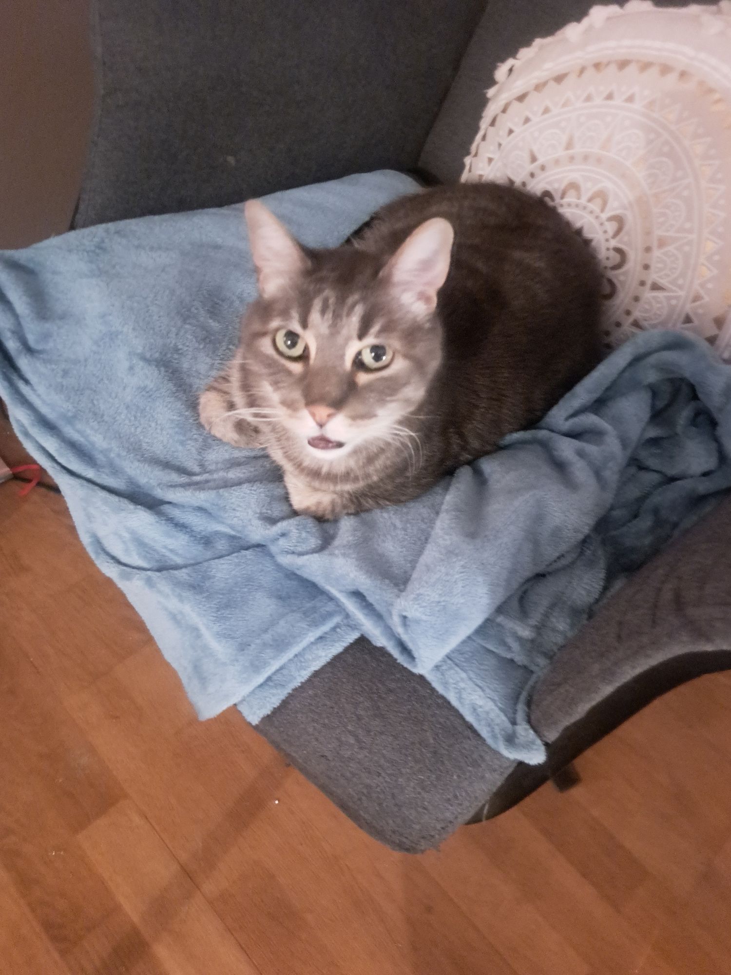 Des nouvelles de Roméo