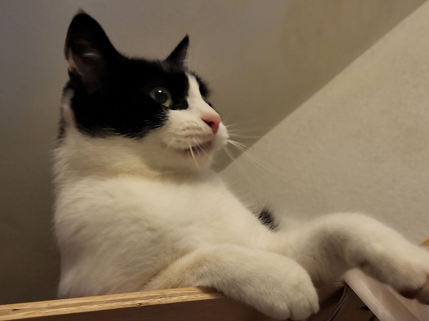 Des nouvelles d'Ulric