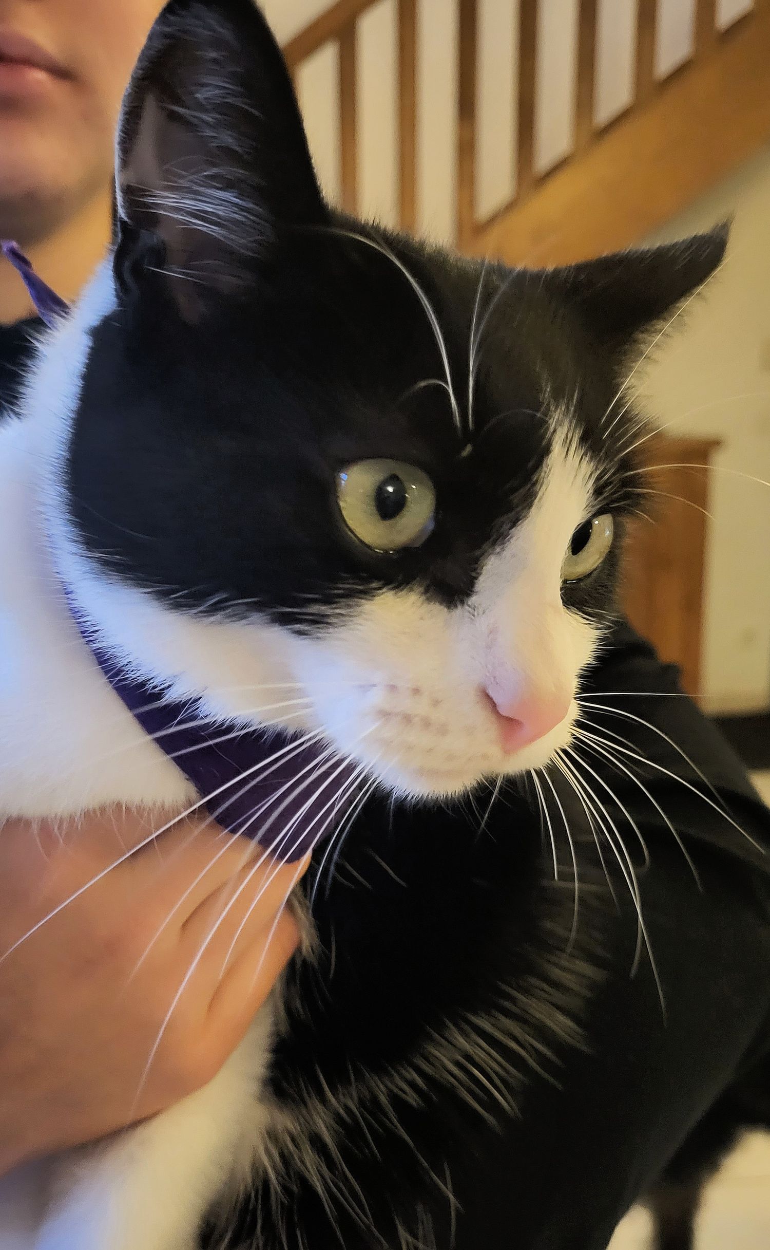 Des nouvelles d'Ulric