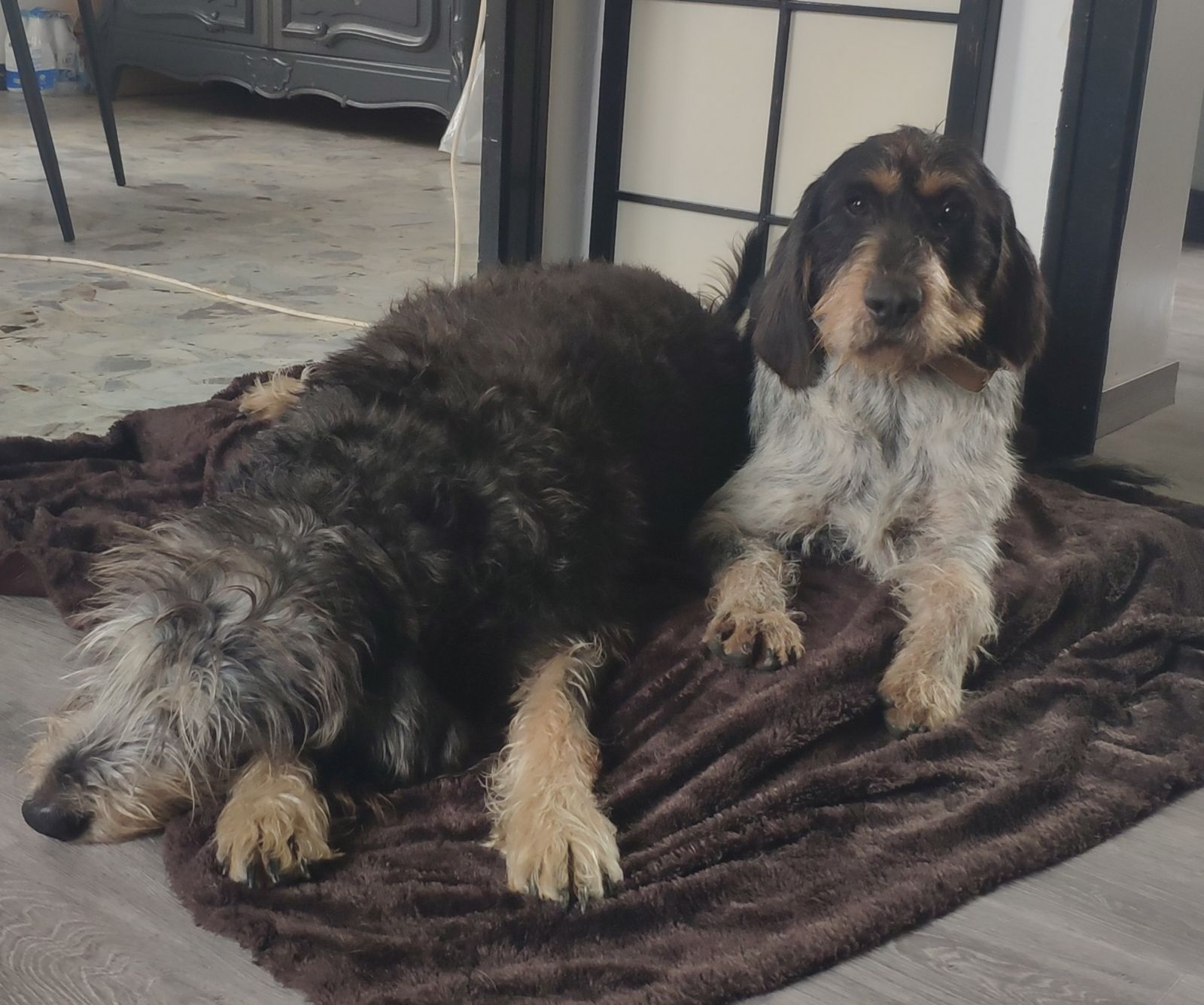 Des nouvelles d'Ulysse.