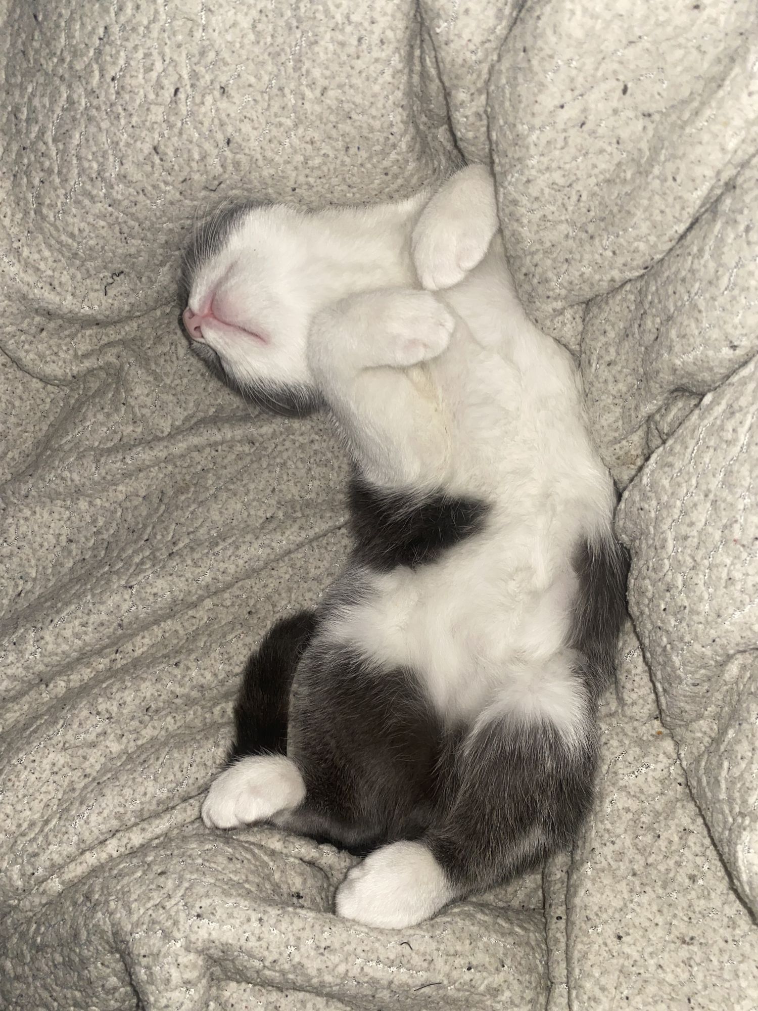 Des nouvelles de Visa