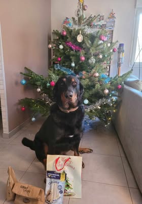 Joyeuses fêtes de Taiko