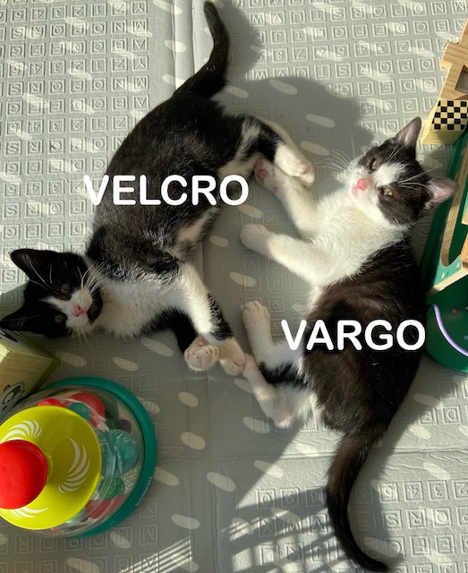 Velcro