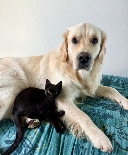 Velona maintenant Maguy