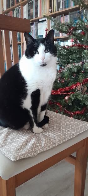 Bonne année de Mina