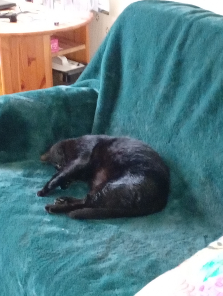 Des nouvelles de Kawa (ex Bibi)