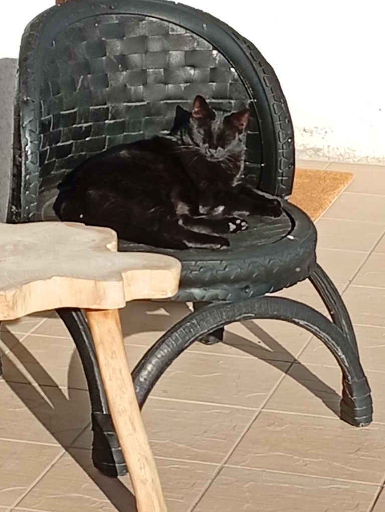 Des nouvelles de Kawa (ex Bibi)