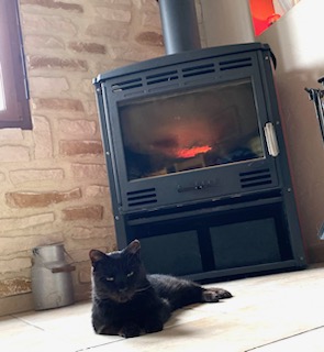 Des nouvelles de Djinn