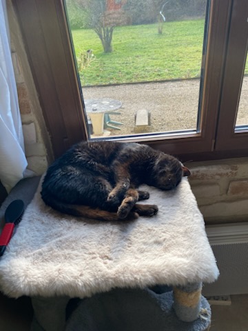 Des nouvelles de Djinn