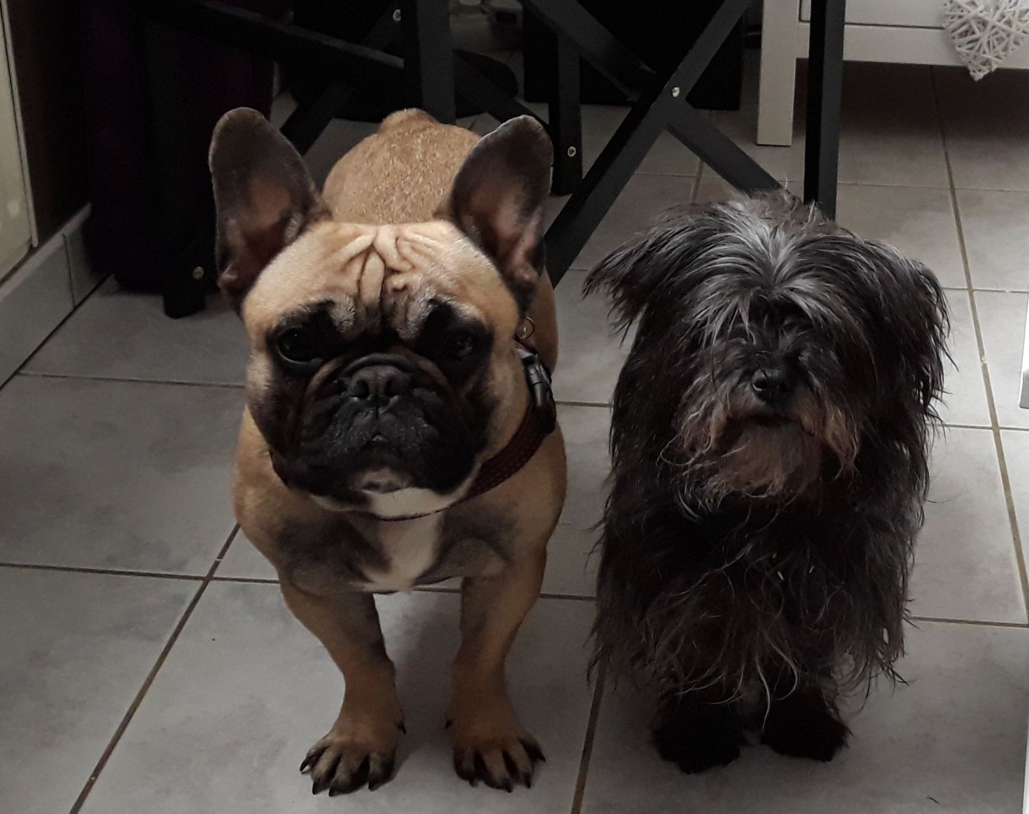 Des nouvelles de Voluptée