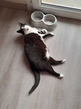 Bonne année de Mina