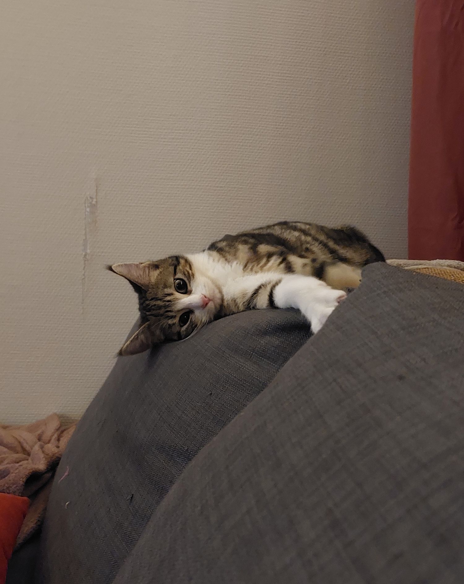 Des nouvelles de Virginia