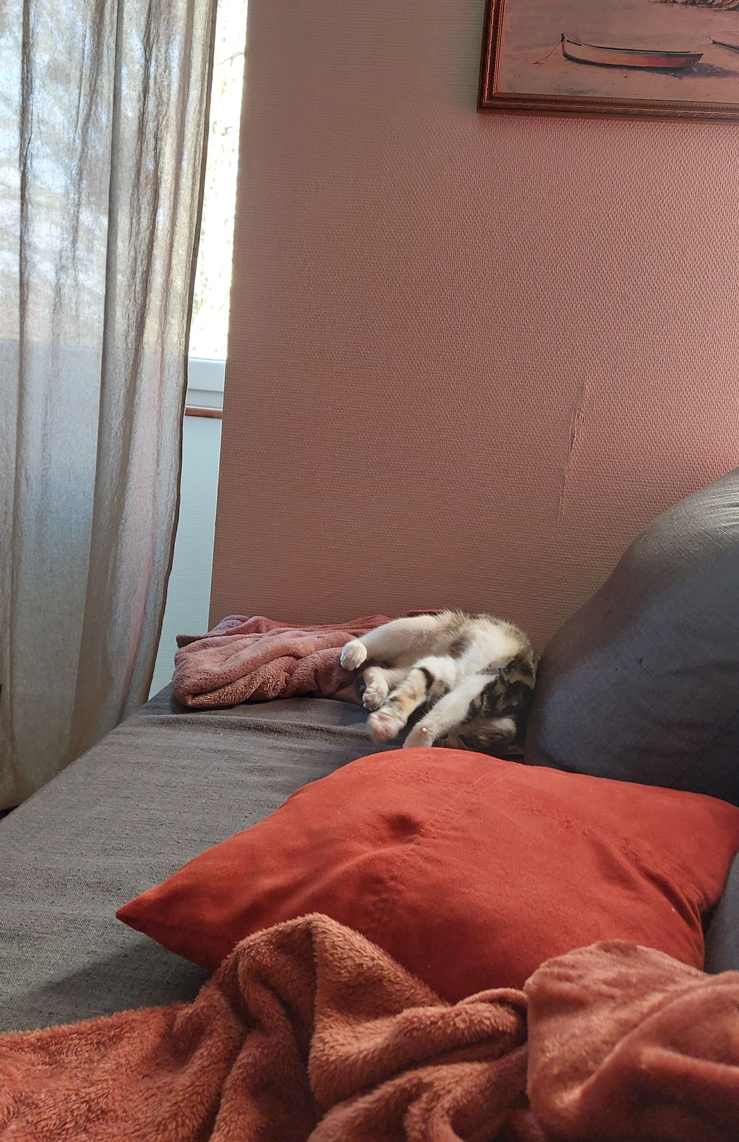 Des nouvelles de Virginia