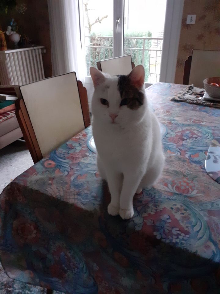 Bonne année de Radar