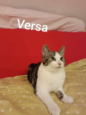 Versa