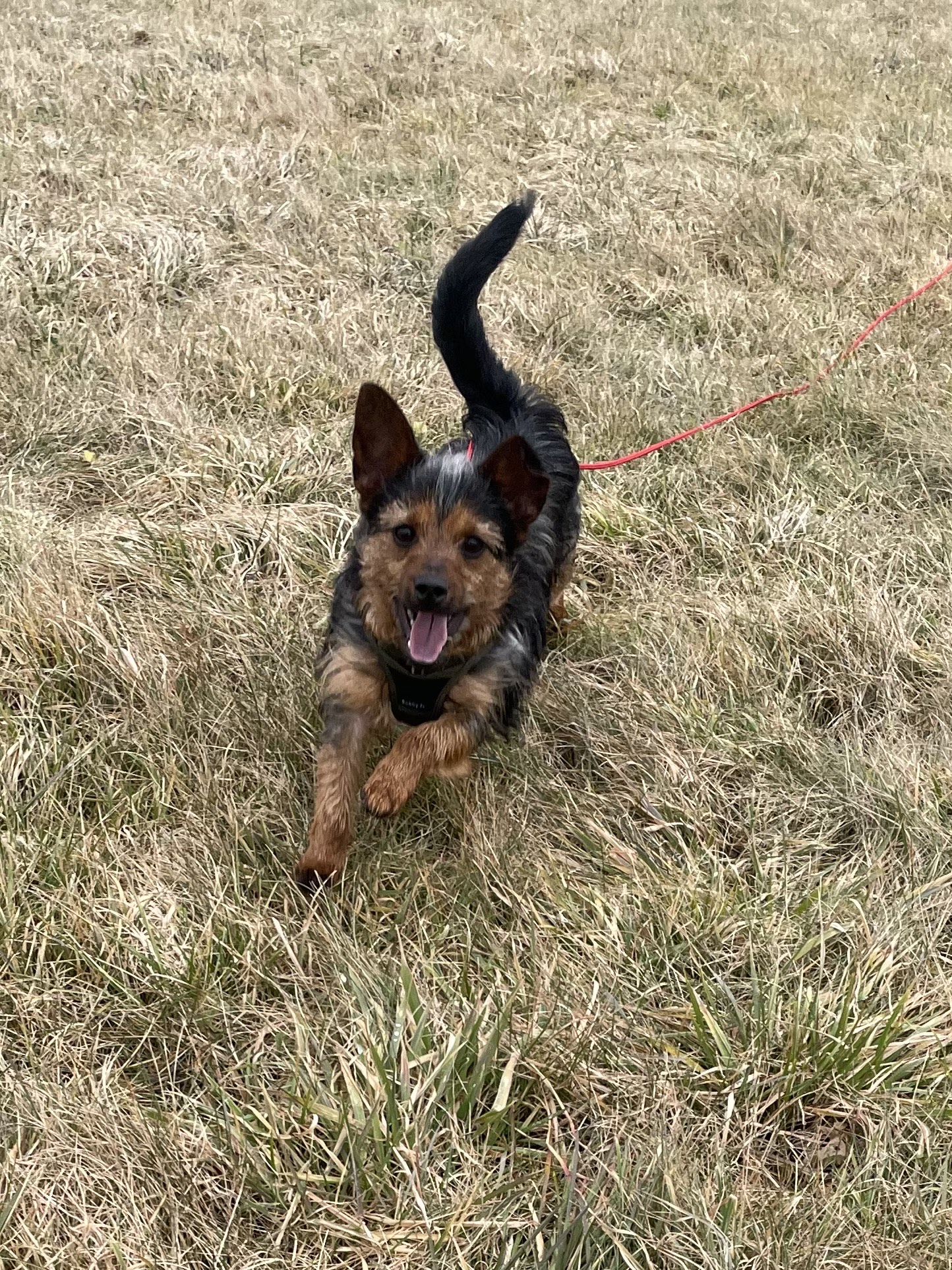 Clovis des nouvelles