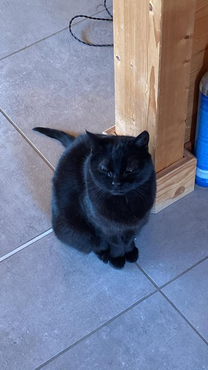 Des nouvelles de Griotte.