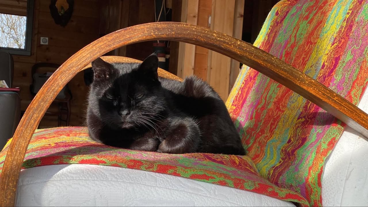 Des nouvelles de Griotte.