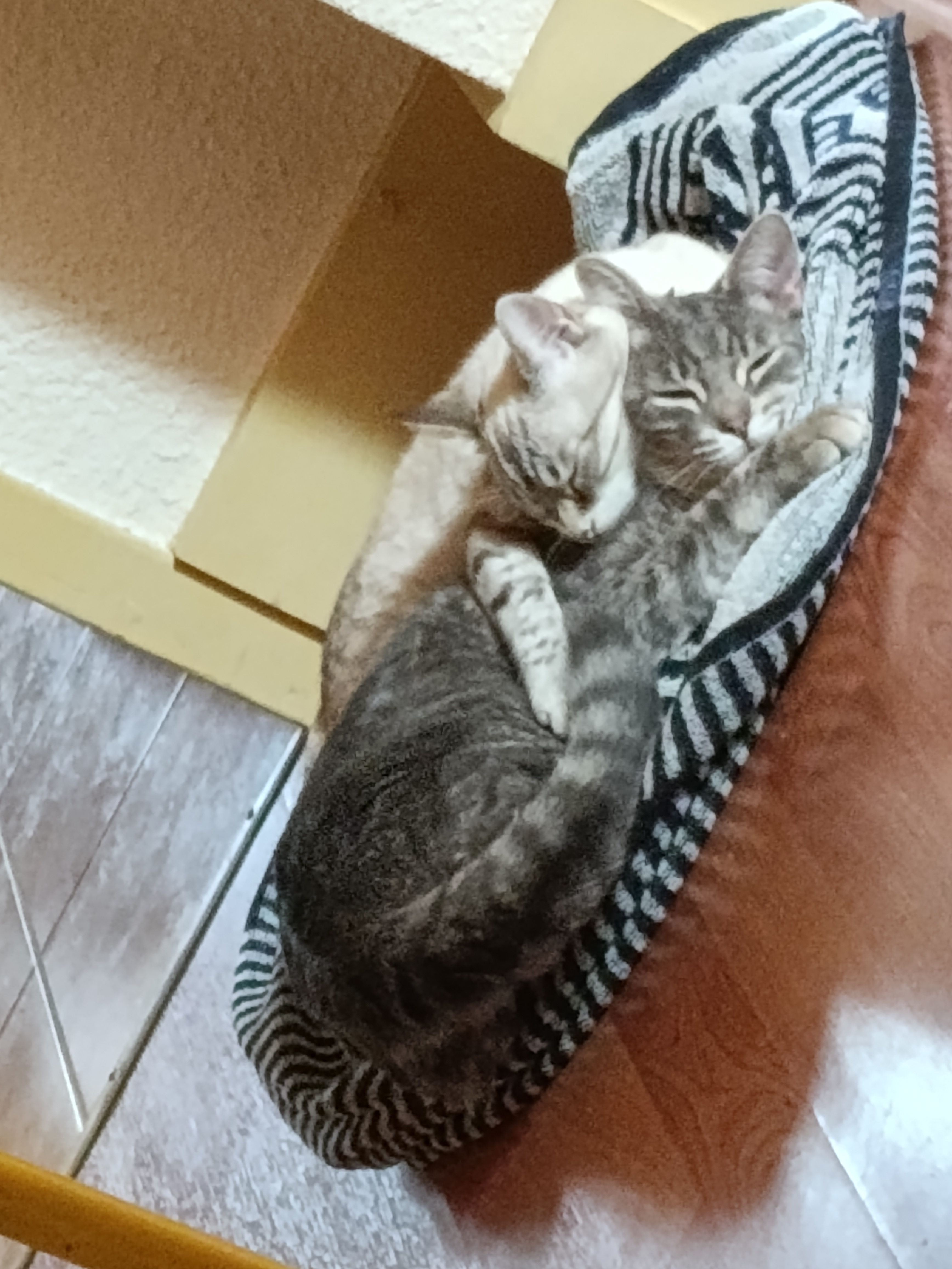 Des nouvelles Valéo